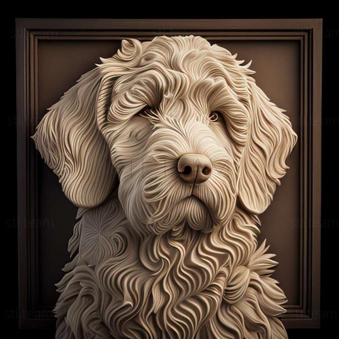 3D модель Лабрадудель собака (STL)